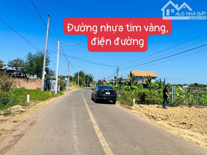 BRVT Ngay chợ Láng Dài 1162m2-300tc Ngang 30m - 6