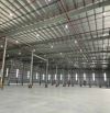 Cho thuê kho xưởng xây mới KCN Nhơn Trạch, dt Kho 15.000m2