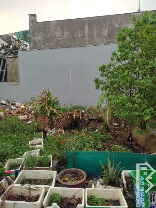 Bán đất thổ 5*14m . Nguyễn Thị Đành . Dân cư hiện hữu