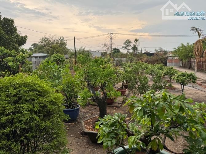 Gấp bán gần 2000m đất thổ cư, mặt tiền nhựa kề Nguyễn Văn Bứa, XTS, Hocmon - 1