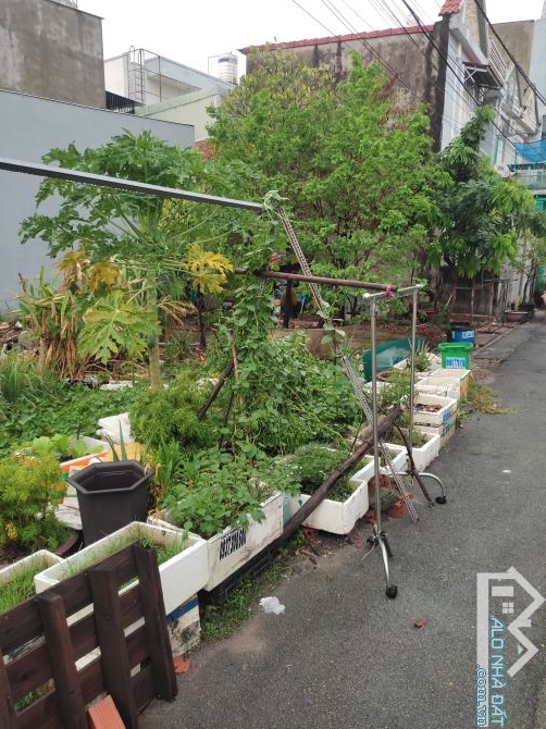 Bán đất thổ 5*14m . Nguyễn Thị Đành . Dân cư hiện hữu - 2