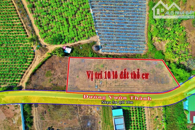 Duy nhất chỉ 10 lô đường nhựa Diên Lạc chỉ từ 800tr từ 120m2 - 3