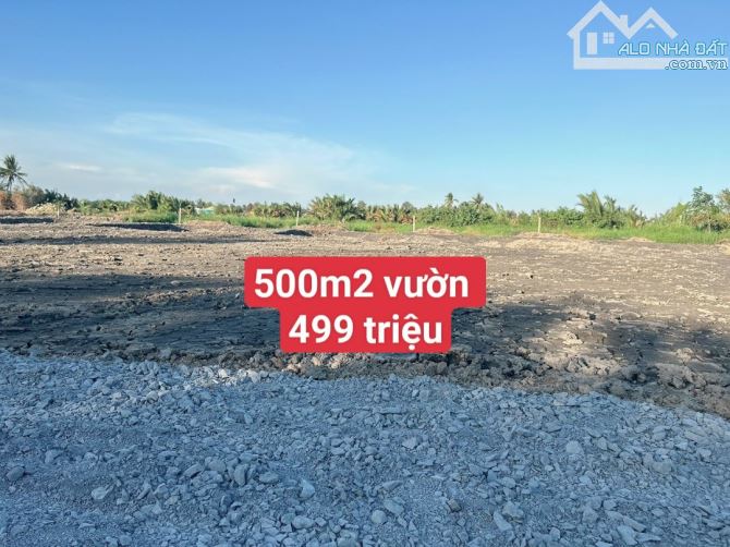 500m2 vườn view sông đường ôtô_ tân bình_ tân trụ _Long An 499 triệu