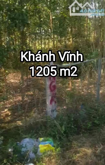 "Đất thổ cư mặt tiền Tỉnh Lộ 8, Khánh Bình, Khánh Vĩnh phù hợp làm kho xưởng, bãi, xây biệ - 1