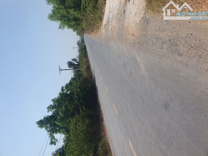 12x40 MT ĐT838 ngay trung tâm thị trấn Đông Thành