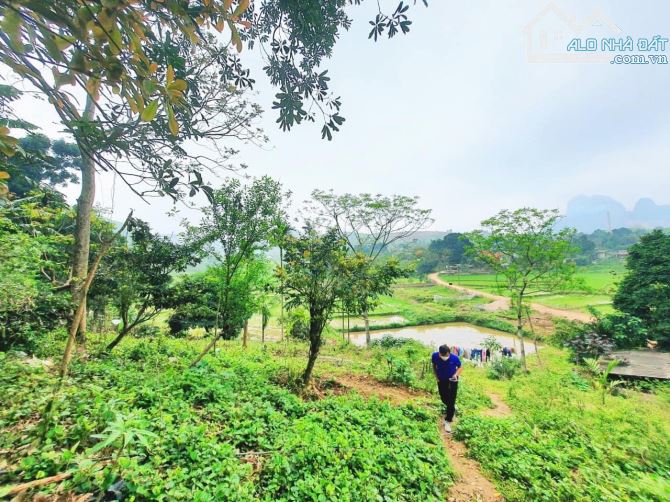 Chính chủ cần thanh khoản siêu phẩm nghỉ dưỡng view cánh đồng 2000m có 400m thổ cư