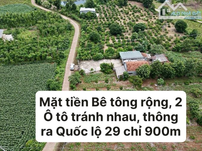 ✨ CƠ HỘI CHO NĐT SẴN TIỀN MẶT - NHÀ VƯỜN KIÊN CỐ: 10x65m (có 100m2 Thổ Cư). GIÁ: chỉ 339Tr