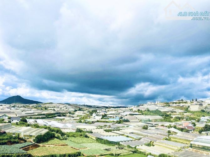 Biệt Thự 2 Mặt Tiền 6 Tầng, 16 căn hộ - View Đẹp. 284m2 chính chủ đường Trịnh Hoài Đức, Tp - 11