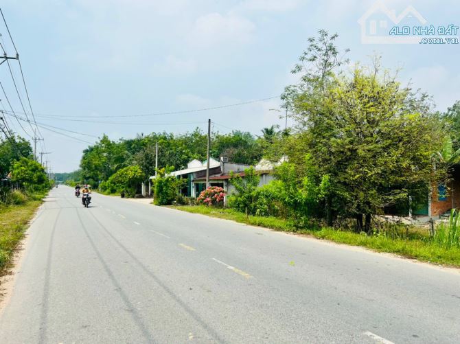 Chủ gởi bán đất diện tích 3.741m2 có sẵn 115m2 thổ cư đường Trung Lập xã Trung Lập Thượng - 1