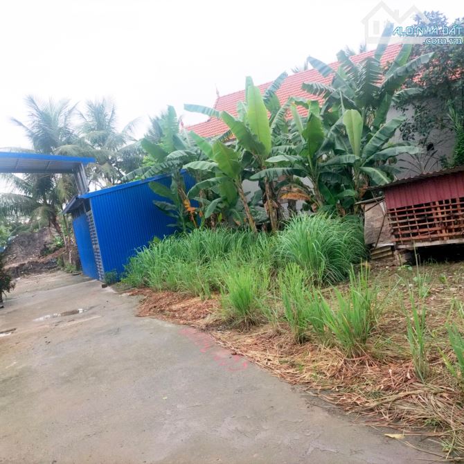 Duy nhất 1 lô ở Kiền Bái giá công nhân cho NĐT - 2