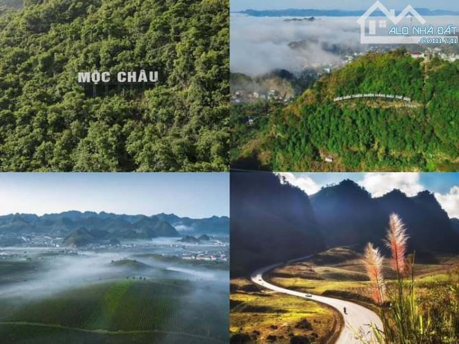 Cần bán đất vườn tại Hua Tạt Vân Hồ Sơn La với diện tích 3200m2 nhỉnh hơn 3 tỷ. - 1