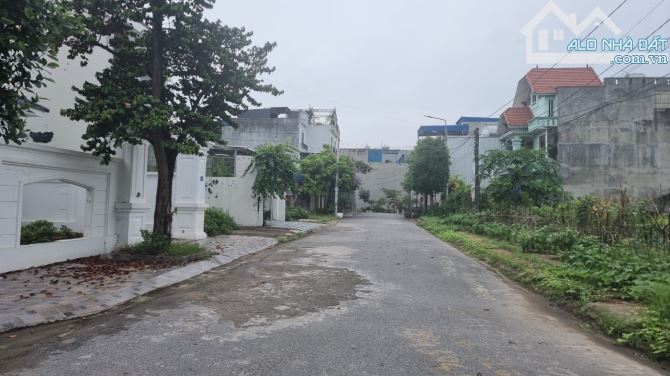 Cần bán lô đất 117m2 chung cư Quỳnh Hoàng, Nam Sơn, An Dương - 1