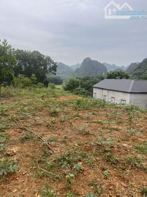 Bán đất nghỉ dưỡng Cao Dương Lương Sơn Hòa Bình 1369m2 200m thổ cư view núi non - 2