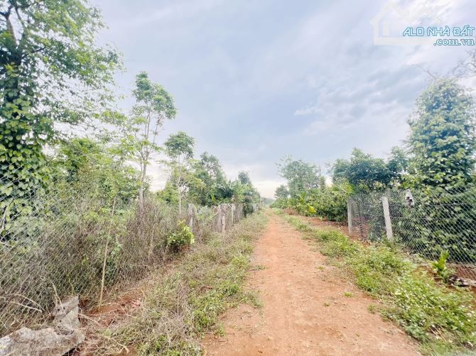 Cần bán lô đất 500m² ngay Km15 Hoà Đông Đắk Lắk, đất thổ cư sổ đỏ chính chủ - 2