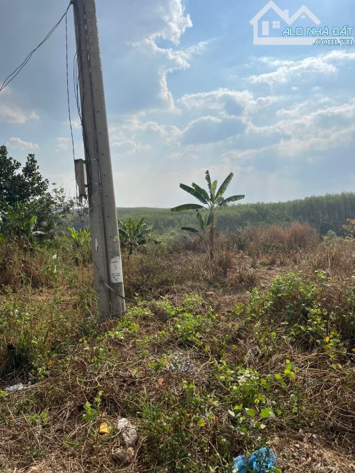 bán đất  (15x40m)mặt đường ql14 ngọc hồi kontum - 3