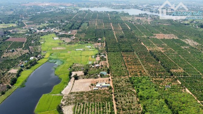29#siêu phẩm đất sào thổ cư Eakar Daklak  Tổng diện tích 6220 m2  Đất ở thổ cư - 4
