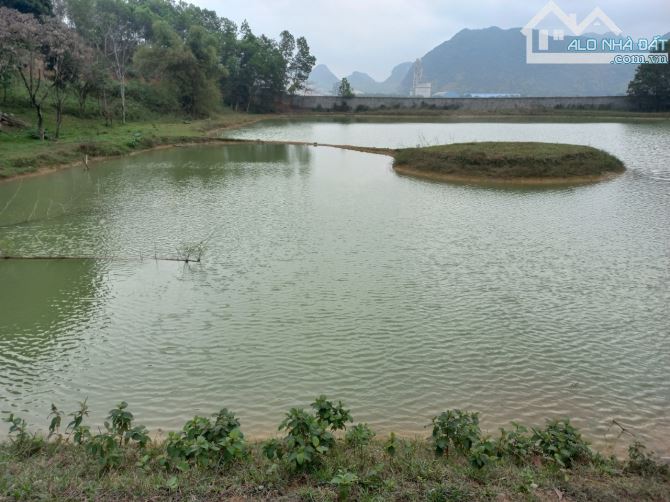 Đất sẵn hồ diện tích 2ha có thổ cư + đất vườn + đất NTS và RSX tại Liên Sơn - Lương Sơn. - 1