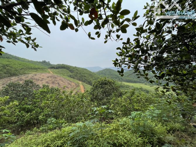 Chỉ 200tr/sào sở hữu 2ha đất sẵn đồi cây ăn quả tại Yên Bình, Thạch Thất - 1