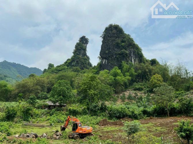 Bán đất cao phong - hoà bình diện tích 2350m giá chỉ hơn tỷ - 3