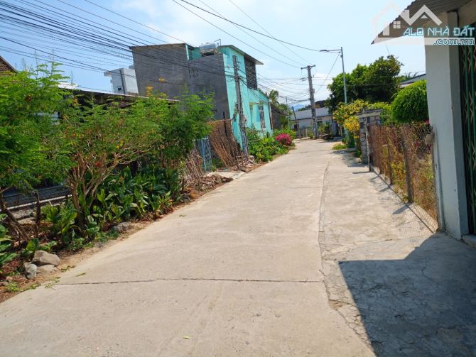 Đất Thổ Cư Mặt Tiền Đường Cây Vông Diên Lạc Cách Tỉnh Lộ 2 200m - 1
