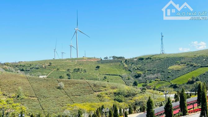 Cần bán 1.327m2 đất view, săn mây trung tâm Đồi Chè, Xuân Trường, TP Đà Lạt, Lâm Đồng - 2