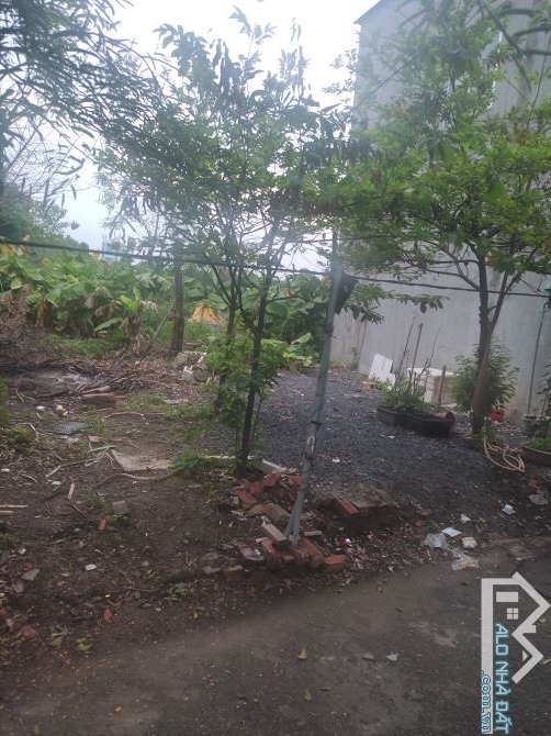 Bán đất 6*23m mặt tiền kd Nguyễn Thị Đành. XTS hocmon