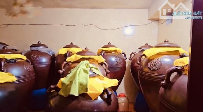 Bán Siêu Biệt Thự 30x30 Ngay Võ Văn Kiệt- An Dương Vương Nội Thất Hơn 350 Khối Gỗ Quý 65tỷ - 10