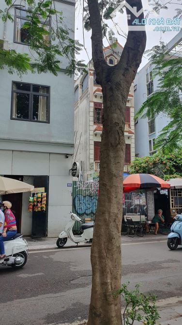 Bán Gấp Nhà Mặt Phố Nhật Chiêu - Tây Hồ. View Hồ 2 thoáng. DT 295m2 x 2T. MT 4,8m - 1