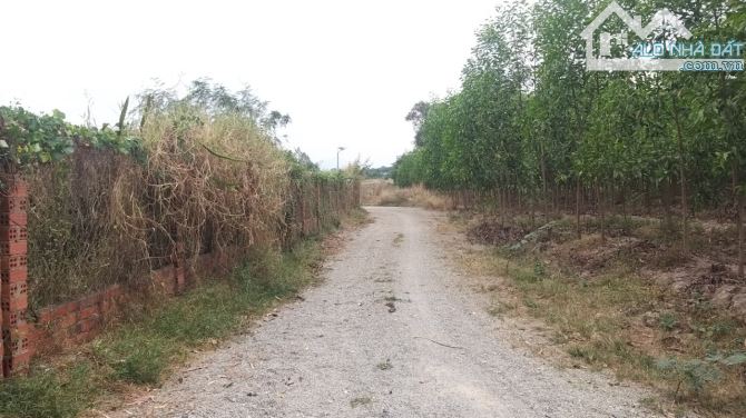 2,13 Ha  4 mặt tiền đường bao quanh, đường nhựa Nguyễn Thông 176m. - 2