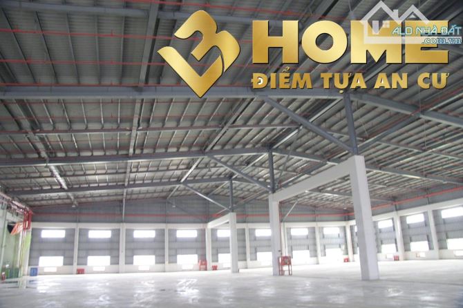 X314. CHO THUÊ KHO XƯỞNG, VĂN PHÒNG, ĐẤT TRỐNG TRONG KHU CÔNG NGHIỆP ĐÌNH VŨ, HẢI PHÒNG