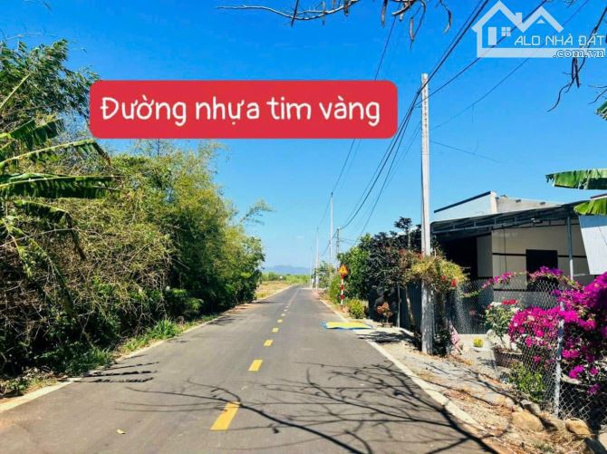 ĐẤT THỊ TRẤN ĐẤT ĐỎ SÁT CỔNG TÂY KCN 204M NGANG 5X40 THỔ CƯ 80 CÓ 5 LÔ - 1