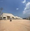 Cho thuê kho, nhà xưởng mới xây dựng tại KCN Nhơn Tân, xã Nhơn Tân, An Nhơn, Bình Định