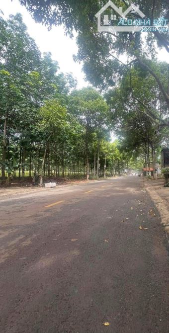 Bán đất hẻm 19/5 , P.Ea Tam , TP BMT , Đắk Lắk