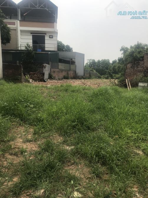 Cần bán đất nhìn ra sông Hồng thôn Lực Canh - xã Xuân Canh: 336 m2 - giá 110 triệu/m2. - 1