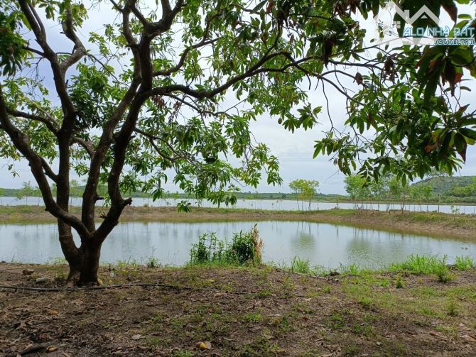 🌿 Sở Hữu 1460m2 Đ.Vườn La Ngà Xanh Mát Gần Hồ Trị An, Chỉ 799 Triệu! Giá 100% - 5