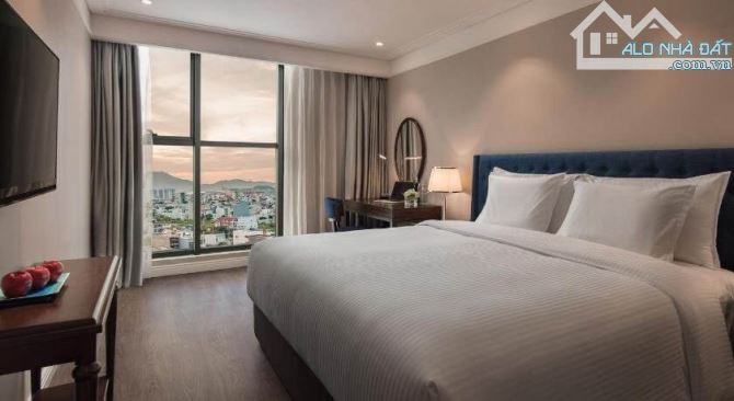 Alphanam Luxury Apartment Danang cho thuê 1PN tầng cao-TOÀN HUY HOÀNG - 1