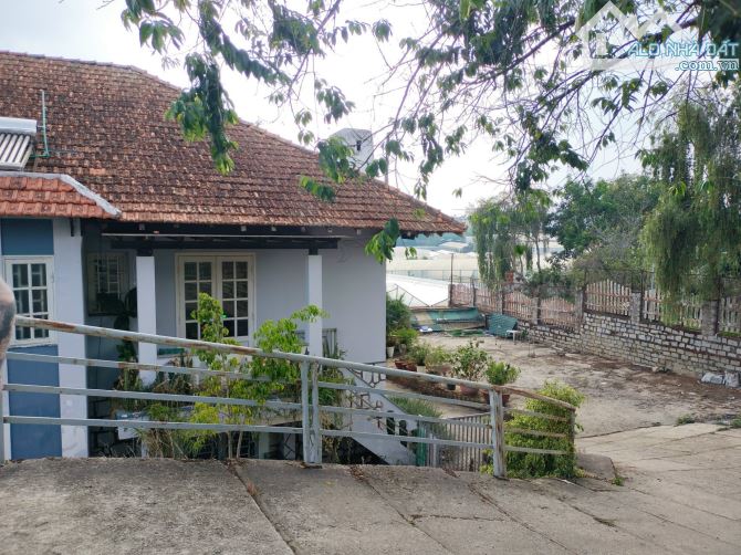 MUA ĐẤT TẶNG NHÀ XƯA MẶT TIỀN TÔ HIỆU 647M2 GIÁ 21 TỶ - 1
