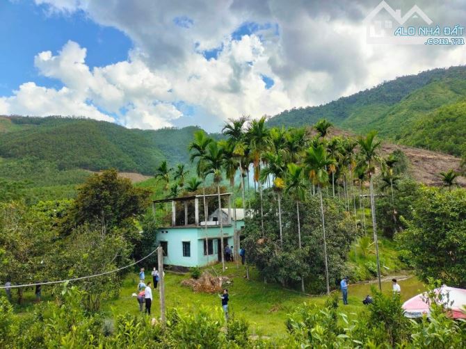 Cần bán 800.000m2( 8 hécta) khu du lịch sinh thái, Bà Nà, suối mơ, huyện Hoà Vang, giá đt. - 2