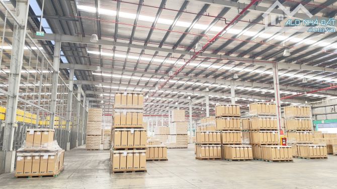 Cho thuê 12000m2 nhà kho nhà xưởng logistics tại Khu công nghiệp Phố Nối. Tỉnh Hưng Yên. - 1