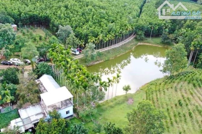 Cần bán 800.000m2( 8 hécta) khu du lịch sinh thái, Bà Nà, suối mơ, huyện Hoà Vang, giá đt. - 4