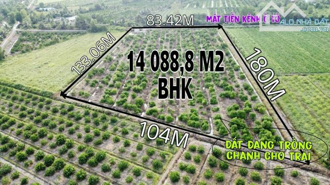 Gần 15000m2 Mặt Kênh Bình Đức Bến Lức Long An đường ô tô giá 750tr/1c SHR - 4