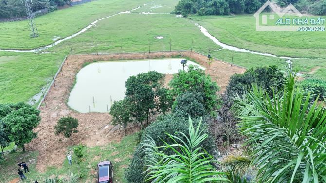 Cần bán 3000m đất ở , đất vườn, đất ruộng tại Hòa Sơn sẵn khuôn viên ranh giới giá hợp lý - 7