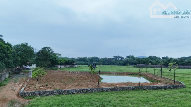 Cần bán 3000m đất ở , đất vườn, đất ruộng tại Hòa Sơn sẵn khuôn viên ranh giới giá hợp lý - 8
