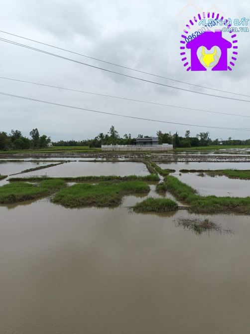 🤢 Tuy xa mà gần, tuy gần mà xa - Ngày đầu cầu Kỳ Phú, sát KDC, vườn quê mát mẻ - thoáng - 1