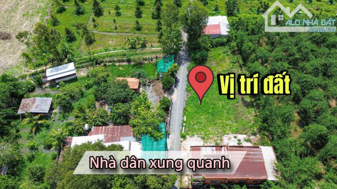 Đất đẹp Lộc Ninh - Dương Minh Châu - Tây Ninh 250tr - 5