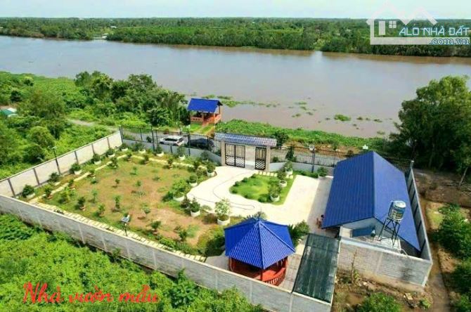 Siêu phẩm, 1300m2 có 300m2 đất thổ view Sông Nhựt Tảo, 1.7 tỷ - 9