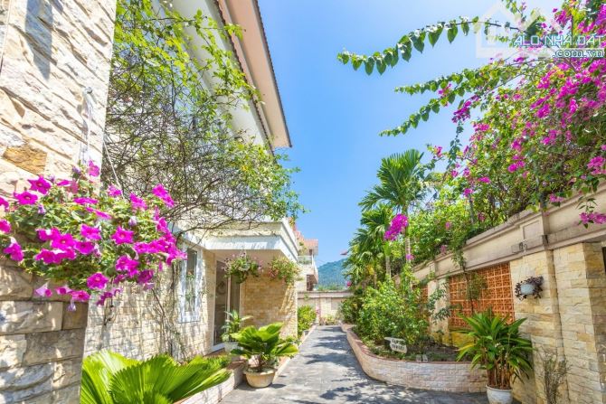 Biệt Thự View  Núi  sát Biển MT  Lê Văn Lương, Sơn Trà, DT 665 m2, giá chỉ 55 tỷ