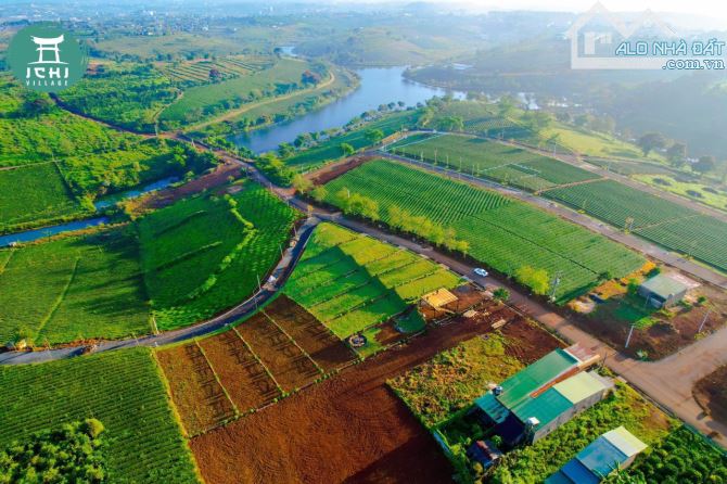 Lên giỏ một lô đất biệt thự siêu đẹp ngay hồ đồi chè Tâm Châu - thành phố Bảo Lộc. - 1