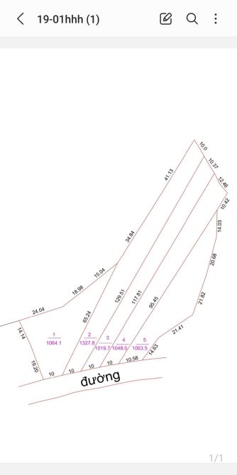 850tr/sào CLN đường ngựa cách biển 10km - 1