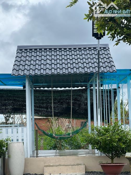 Bán 7500m2 mặt tiền nhựa phước thạnh gò dầu giá 4,8 tỷ - 2